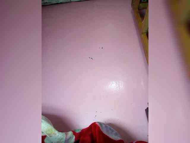 Rudih webcam