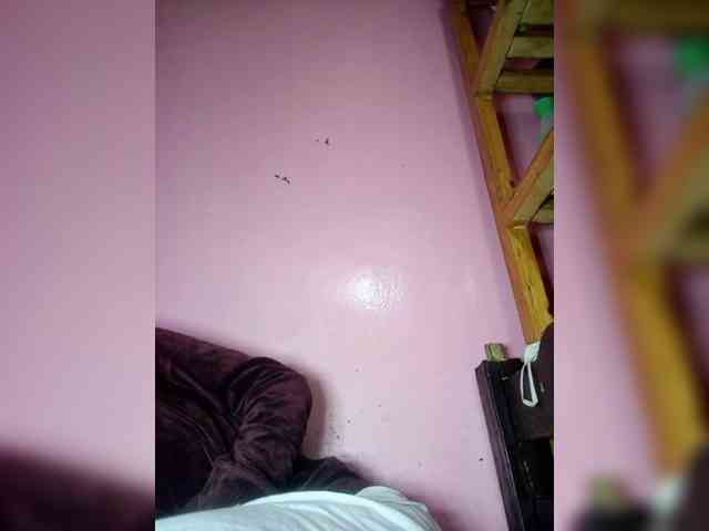 Rudih webcam