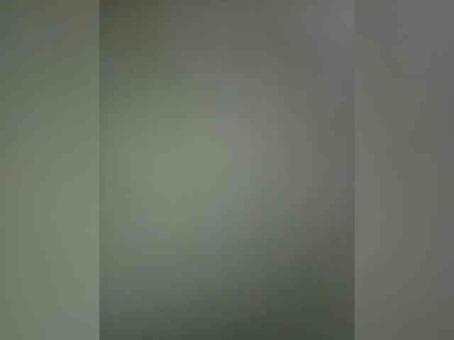 Rudih webcam