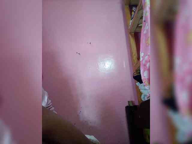 Rudih webcam