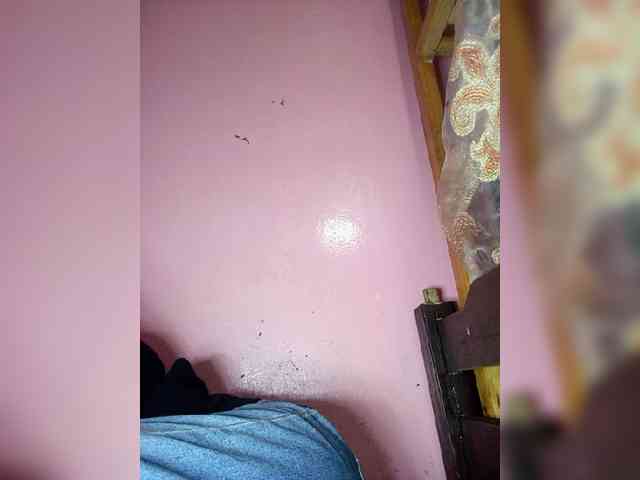 Rudih webcam