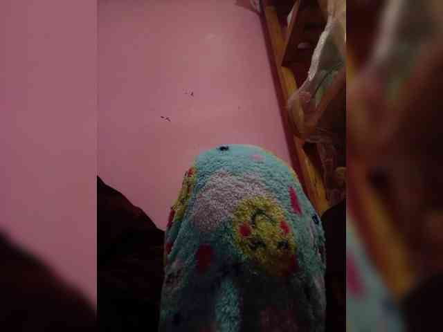 Rudih webcam