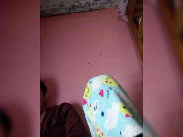 Rudih webcam