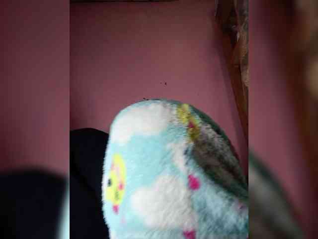 Rudih webcam