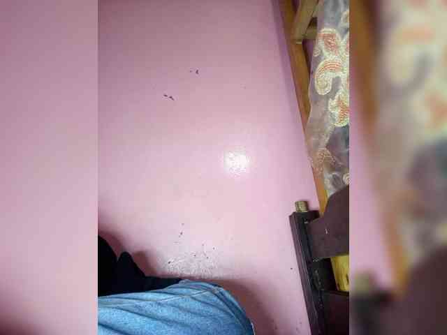 Rudih webcam