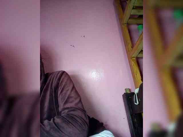 Rudih webcam
