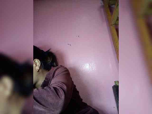 Rudih webcam