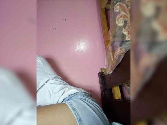 Rudih webcam