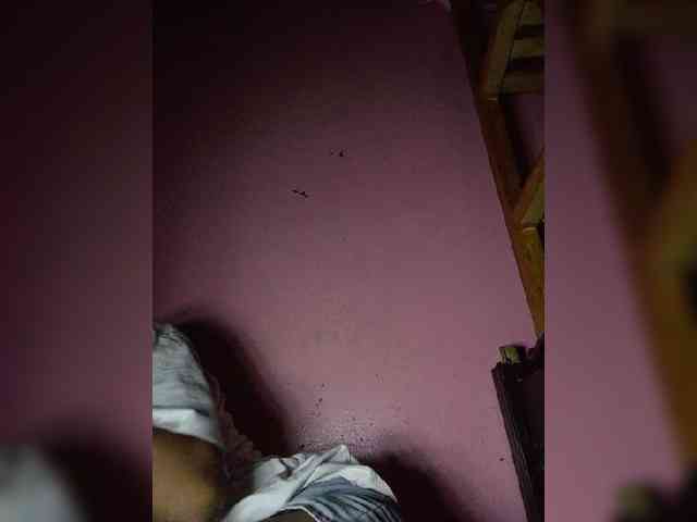 Rudih webcam