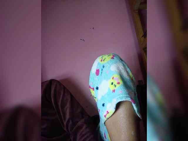 Rudih webcam