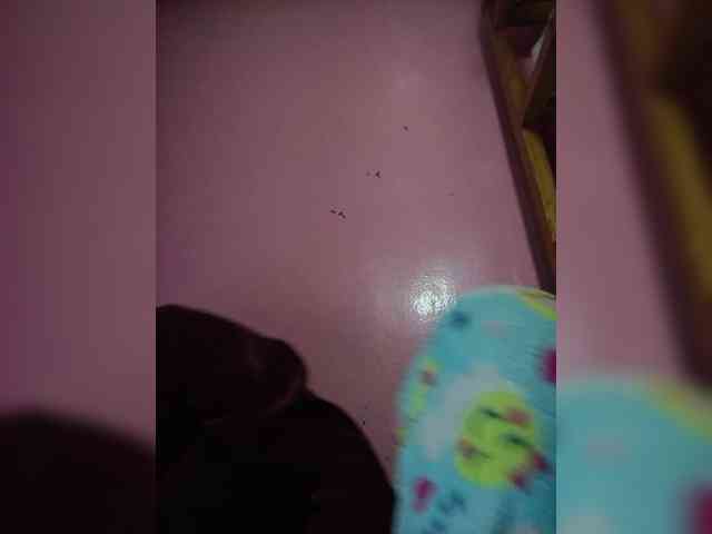Rudih webcam