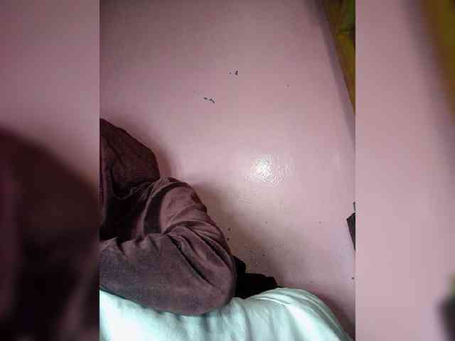 Rudih webcam
