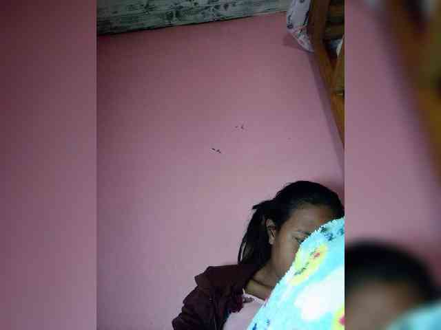 Rudih webcam