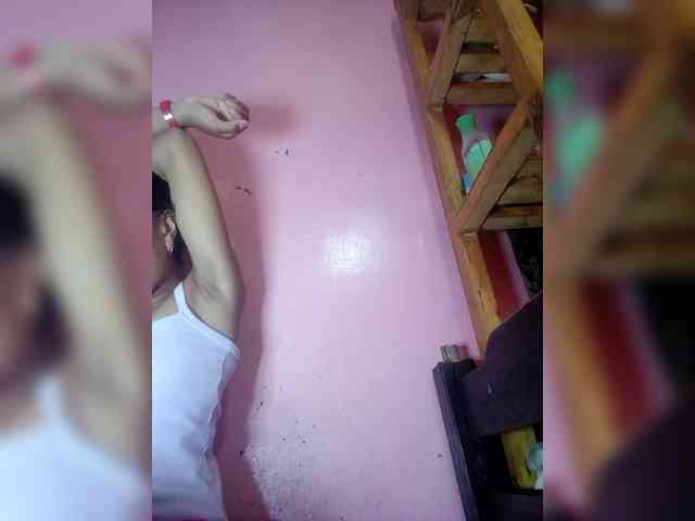Rudih webcam