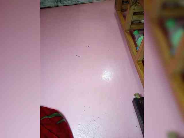 Rudih webcam