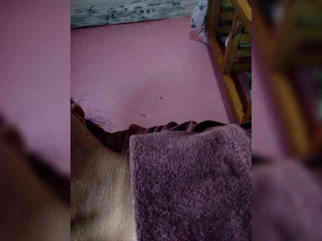 Rudih webcam