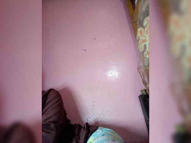 Rudih webcam