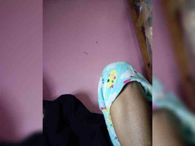 Rudih webcam