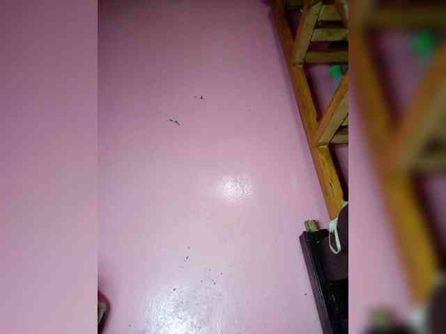 Rudih webcam