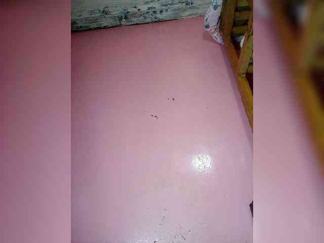 Rudih webcam
