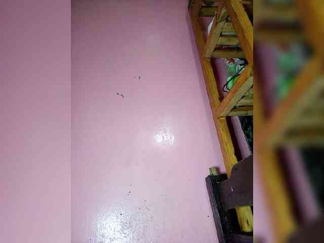 Rudih webcam