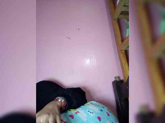 Rudih webcam