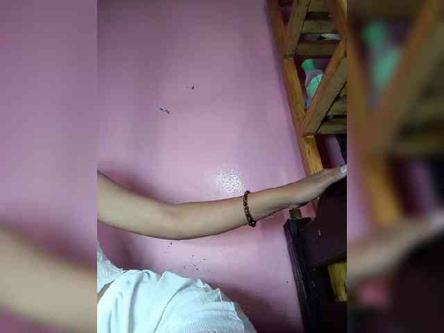 Rudih webcam