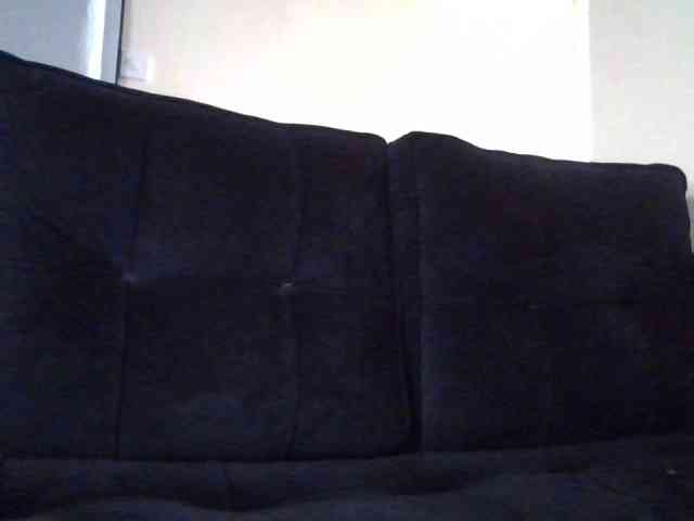 Sauceyga webcam