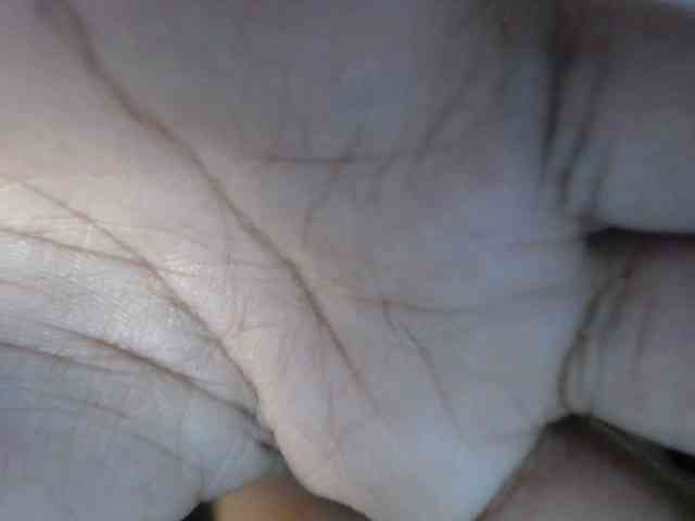 Sauceyga webcam