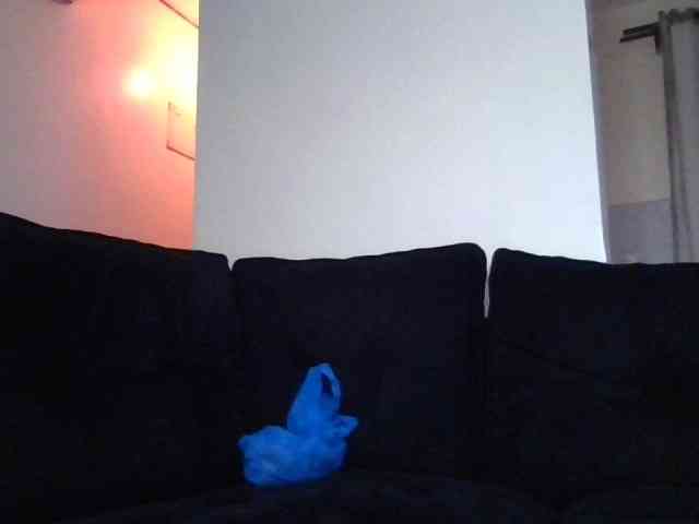 Sauceyga webcam