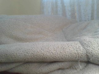 Shantell's Live Webcam