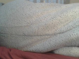 Shantell's Live Webcam