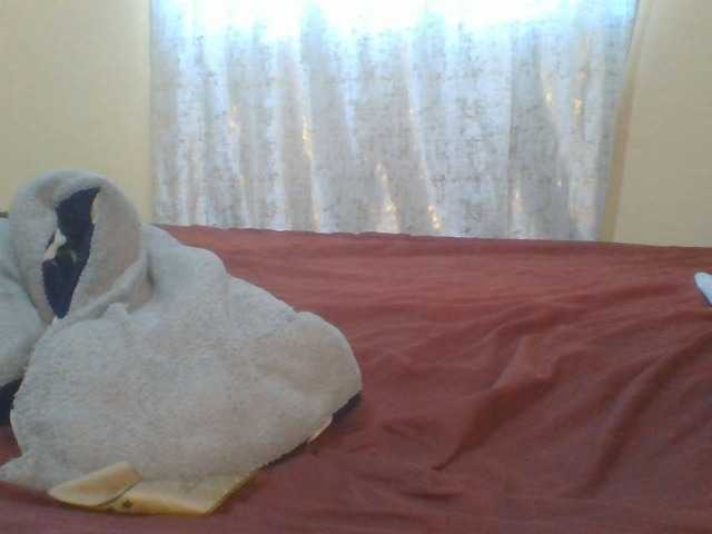 Shantell live cam on BongaCams