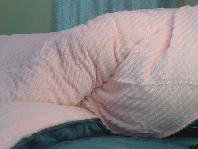 Shantell live cam on BongaCams
