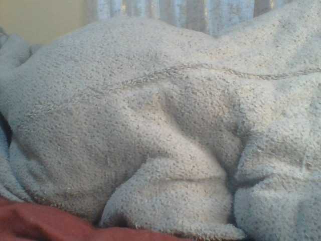 Shantell