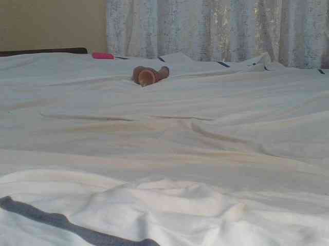 Shantell webcam