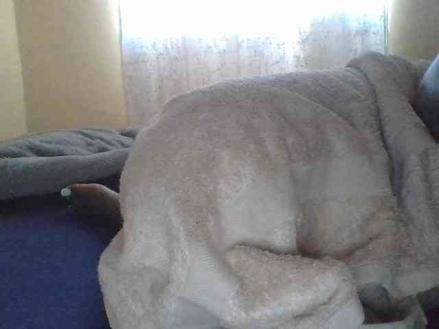 Shantell webcam