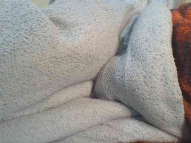 Shantell webcam