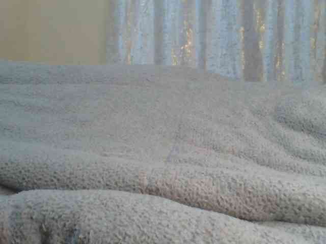Shantell webcam