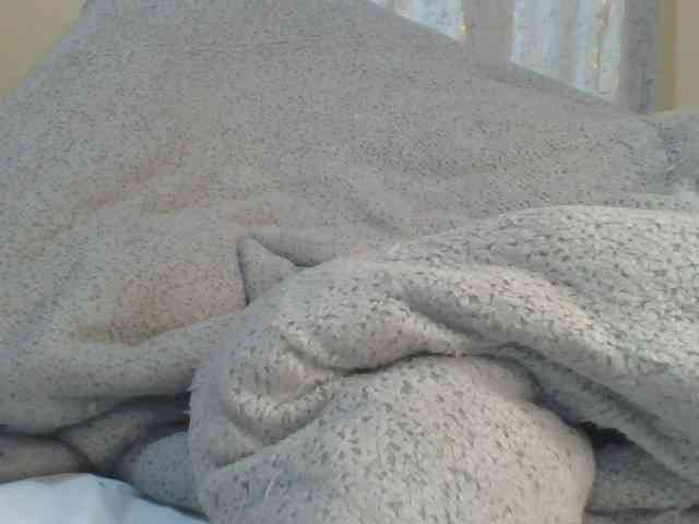 Shantell webcam