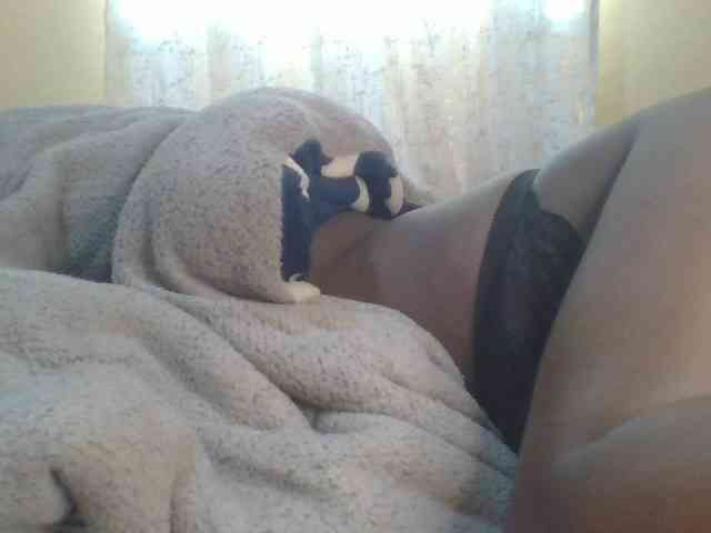 Shantell webcam