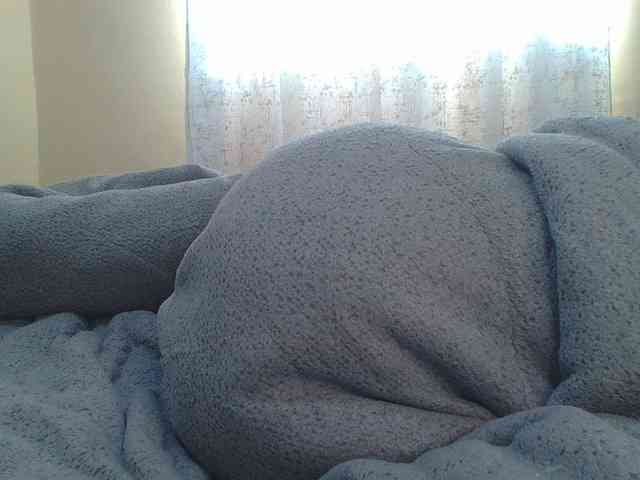 Shantell webcam