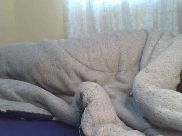 Shantell webcam