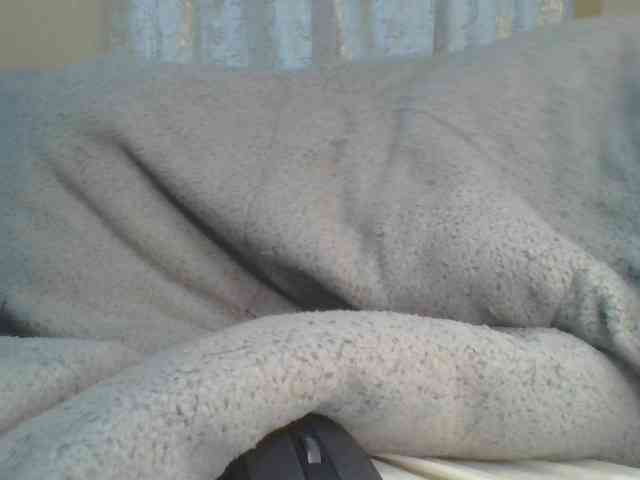 Shantell webcam