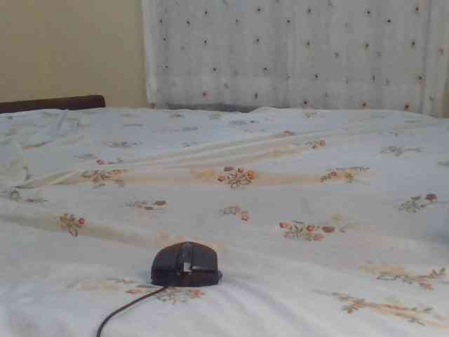 Shantell webcam