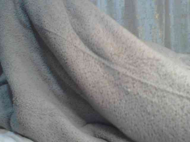 Shantell