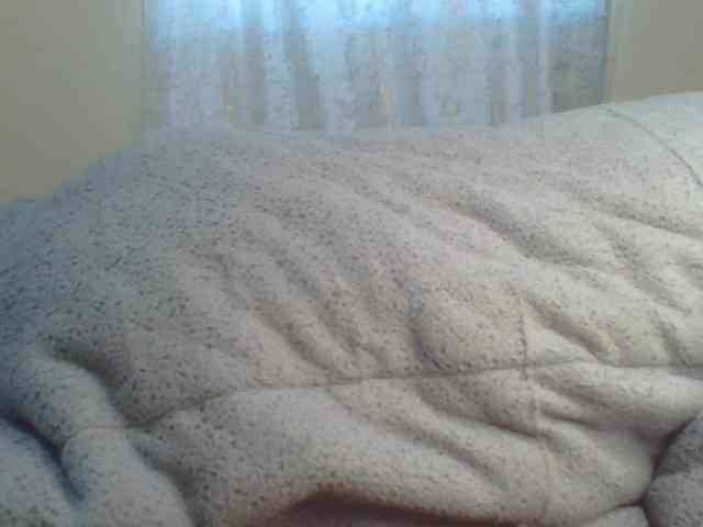 Shantell webcam