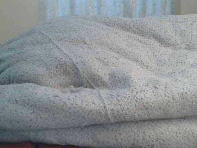 Shantell webcam