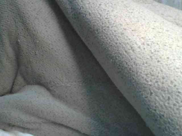 Shantell webcam