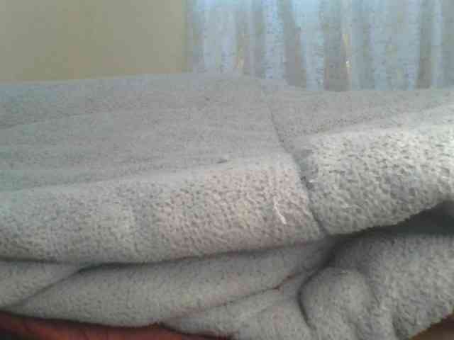 Shantell webcam